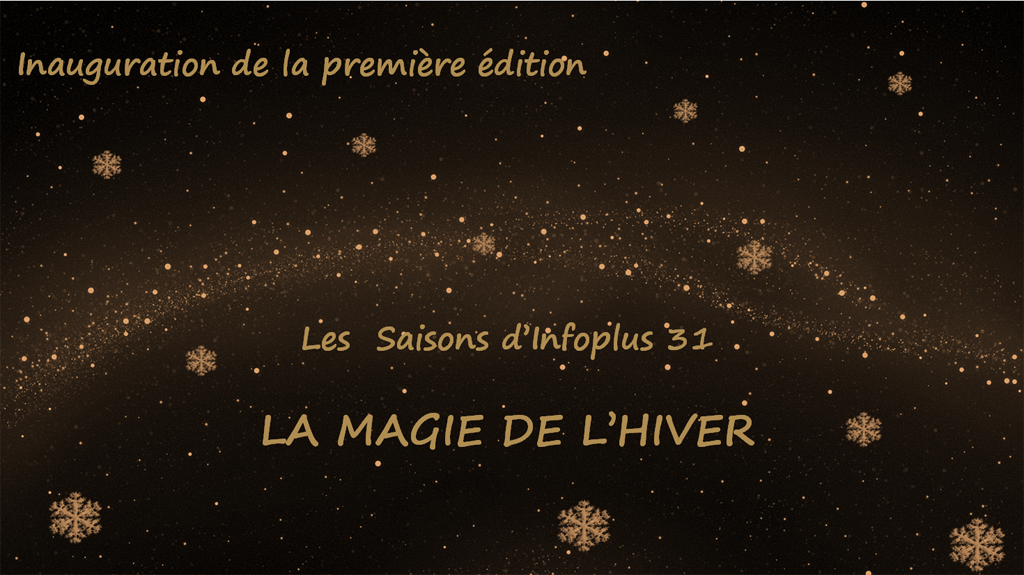 Découvrez la magie de l'hiver 2016 - Le Groupe Infoplus 31